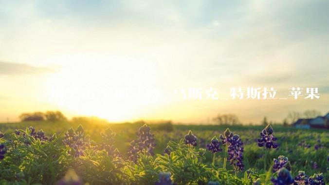 别笑雷军那一蹲_马斯克_特斯拉_苹果